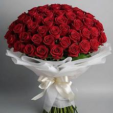 Букет 101 Красная роза Блэк Мэджик в Новом Ургале