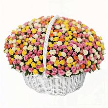 Премиум букет из: Розы в Новом Ургале