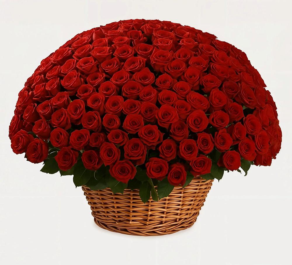 Премиум букет из: Розы в Новом Ургале