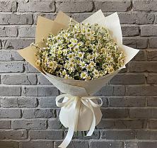 Букет цветов из:  Ромашки #REPLACE_PRED# Новом Ургале