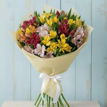 Букет цветов из:  Альстромерии #REPLACE_PRED# Новом Ургале