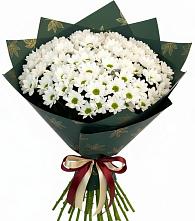 Букет цветов из:  Хризантемы #REPLACE_PRED# Новом Ургале