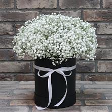 Цветочная композиция из Гипсофила в шляпной коробке в Новом Ургале