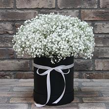 Цветочная композиция из Гипсофила в шляпной коробке в Новом Ургале