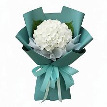 Букет цветов из:  Гортензия #REPLACE_PRED# Новом Ургале